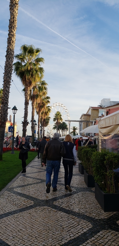 f:id:kulipa:20190115135123j:plain