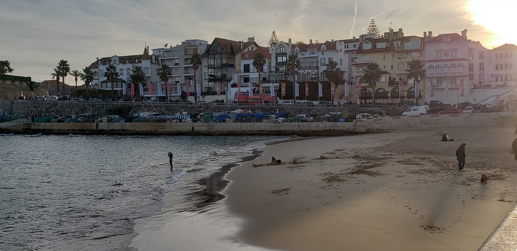 f:id:kulipa:20190115135155j:plain