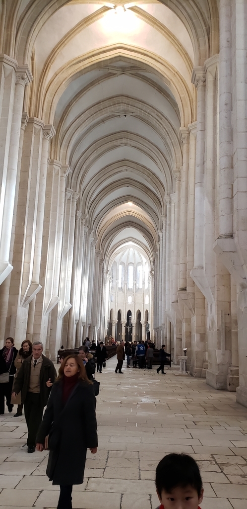 f:id:kulipa:20190115140743j:plain f:id:kulipa:20190115140743j:plain