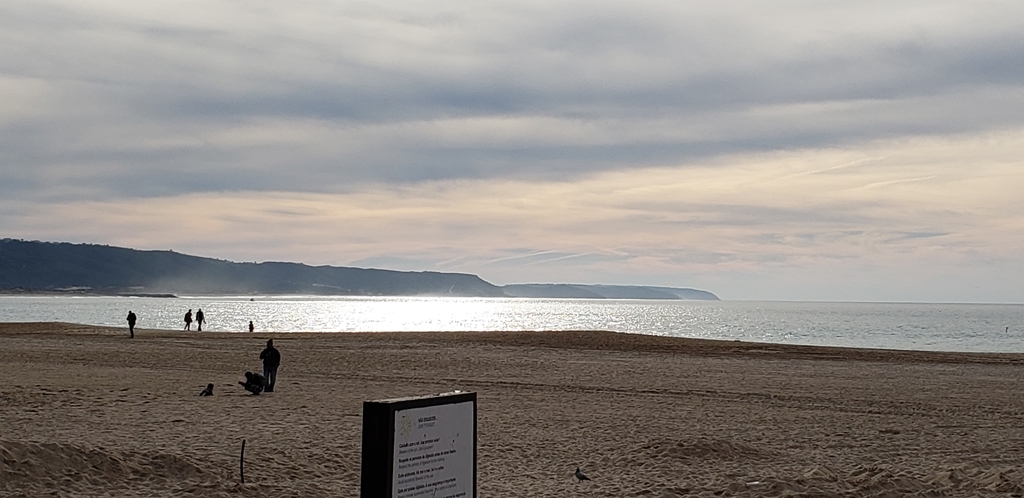 f:id:kulipa:20190115165233j:plain f:id:kulipa:20190115165233j:plain