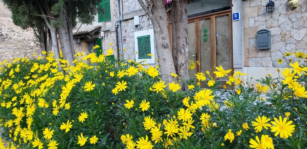 f:id:kulipa:20190125172719j:plain f:id:kulipa:20190125172719j:plain
