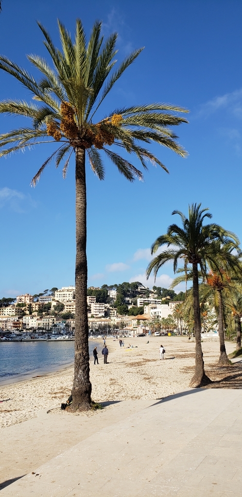 f:id:kulipa:20190125173331j:plain f:id:kulipa:20190125173331j:plain