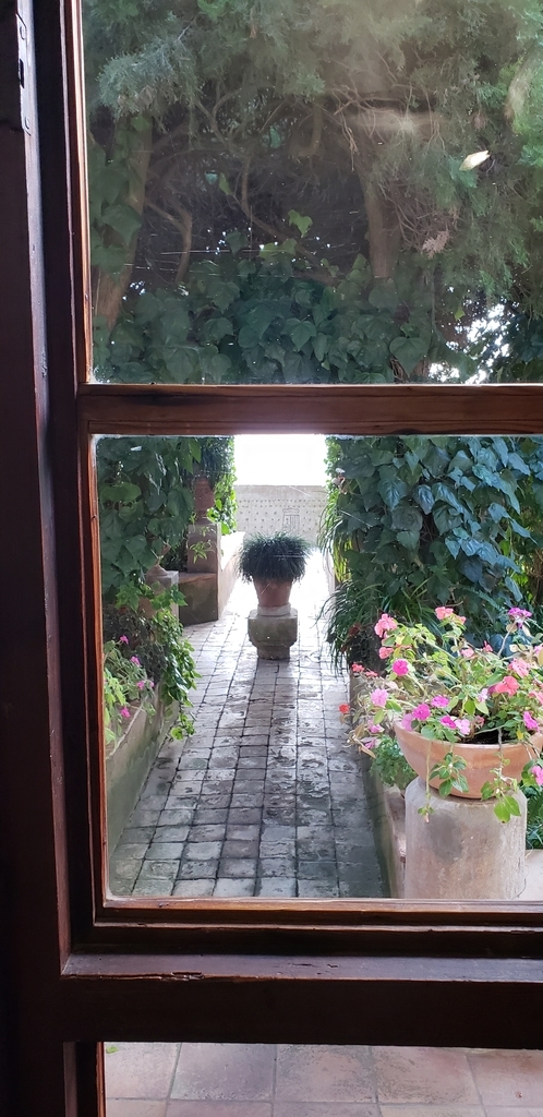 f:id:kulipa:20190125174303j:plain f:id:kulipa:20190125174303j:plain