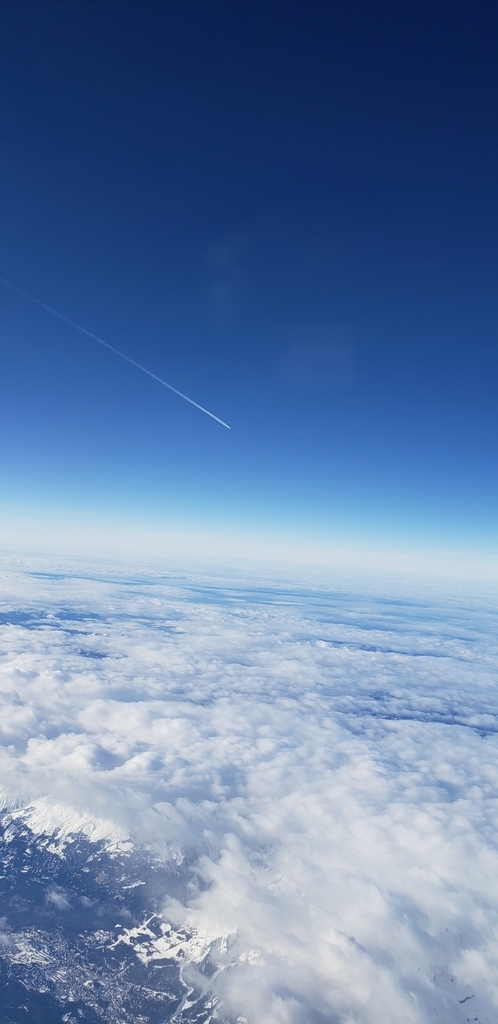 f:id:kulipa:20190127134426j:plain