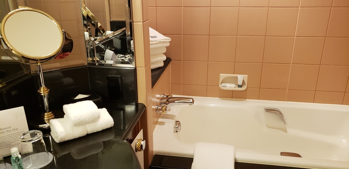 f:id:kulipa:20190324182233j:plain