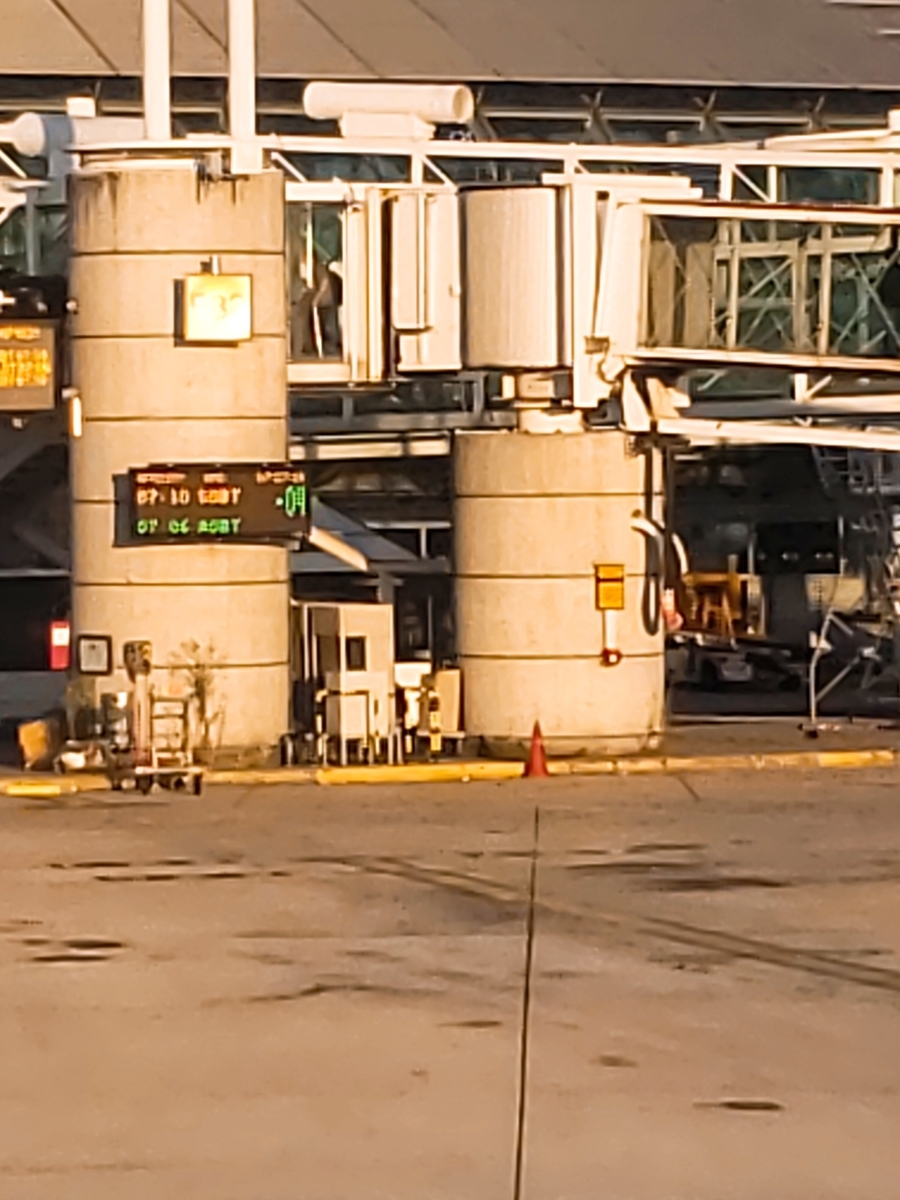 f:id:kulipa:20190814210203j:plain