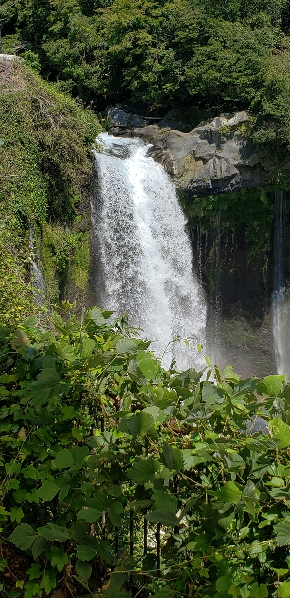 f:id:kulipa:20191005165329j:plain