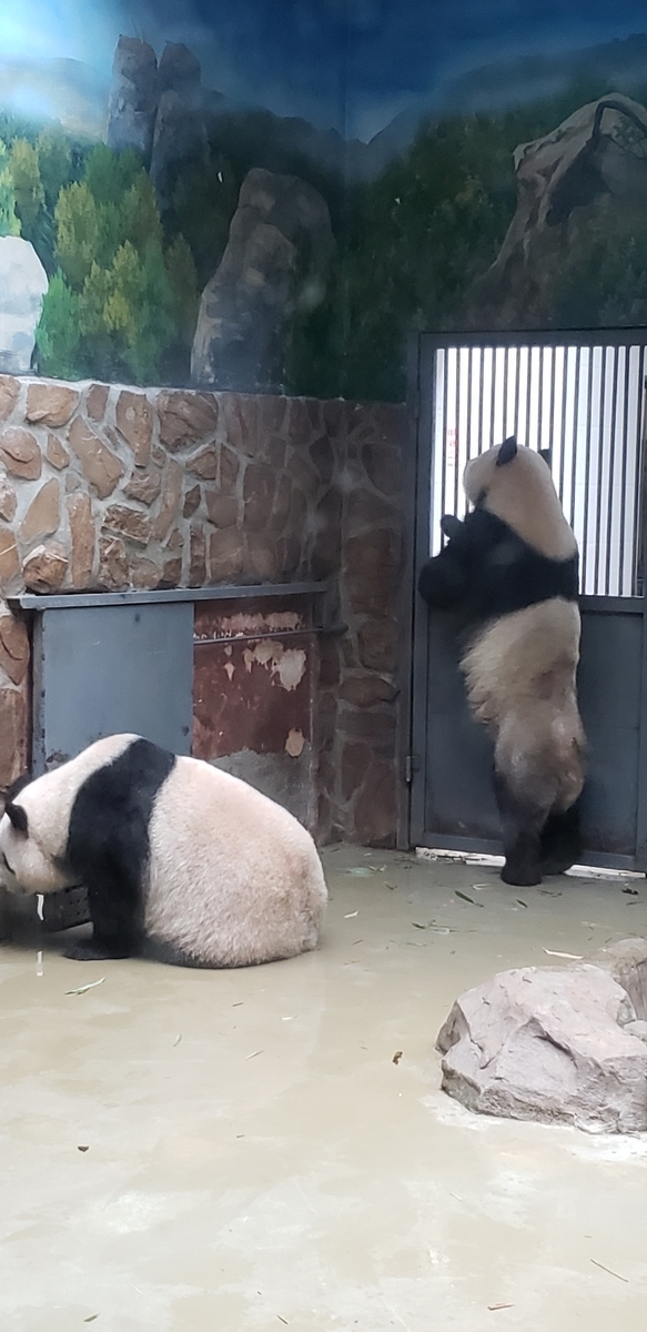 f:id:kulipa:20191109100856j:plain