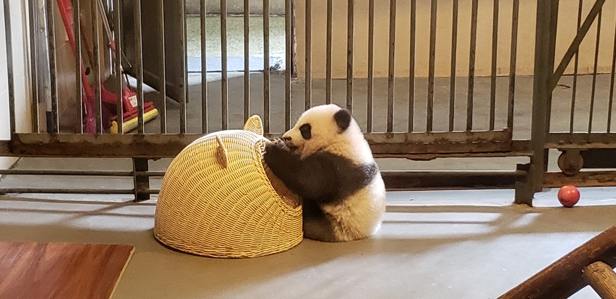 f:id:kulipa:20191109101531j:plain