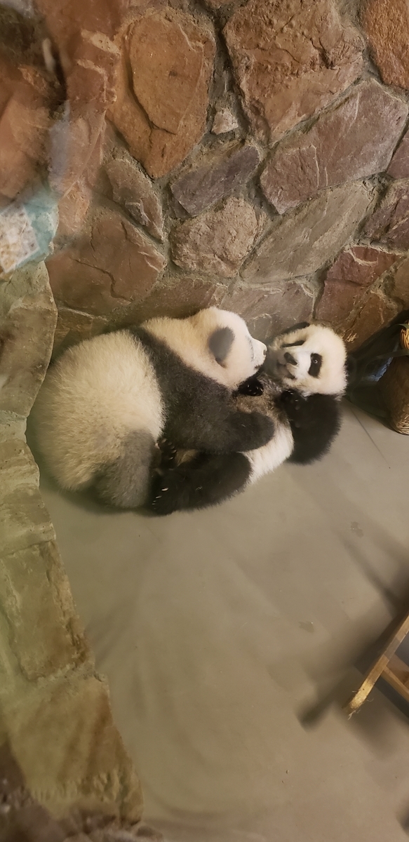 f:id:kulipa:20191109101605j:plain