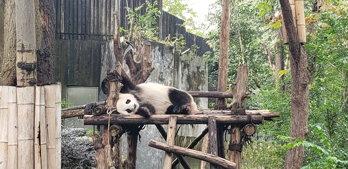 f:id:kulipa:20191109101657j:plain