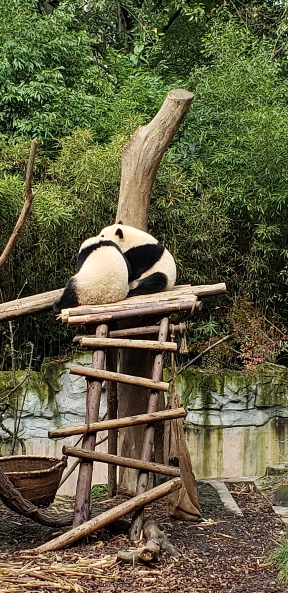 f:id:kulipa:20191109101741j:plain