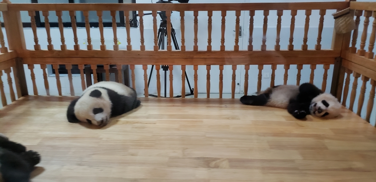 f:id:kulipa:20191109101956j:plain