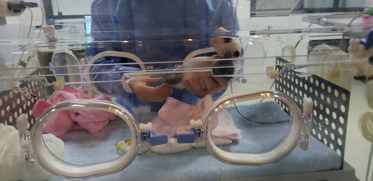 f:id:kulipa:20191109103343j:plain