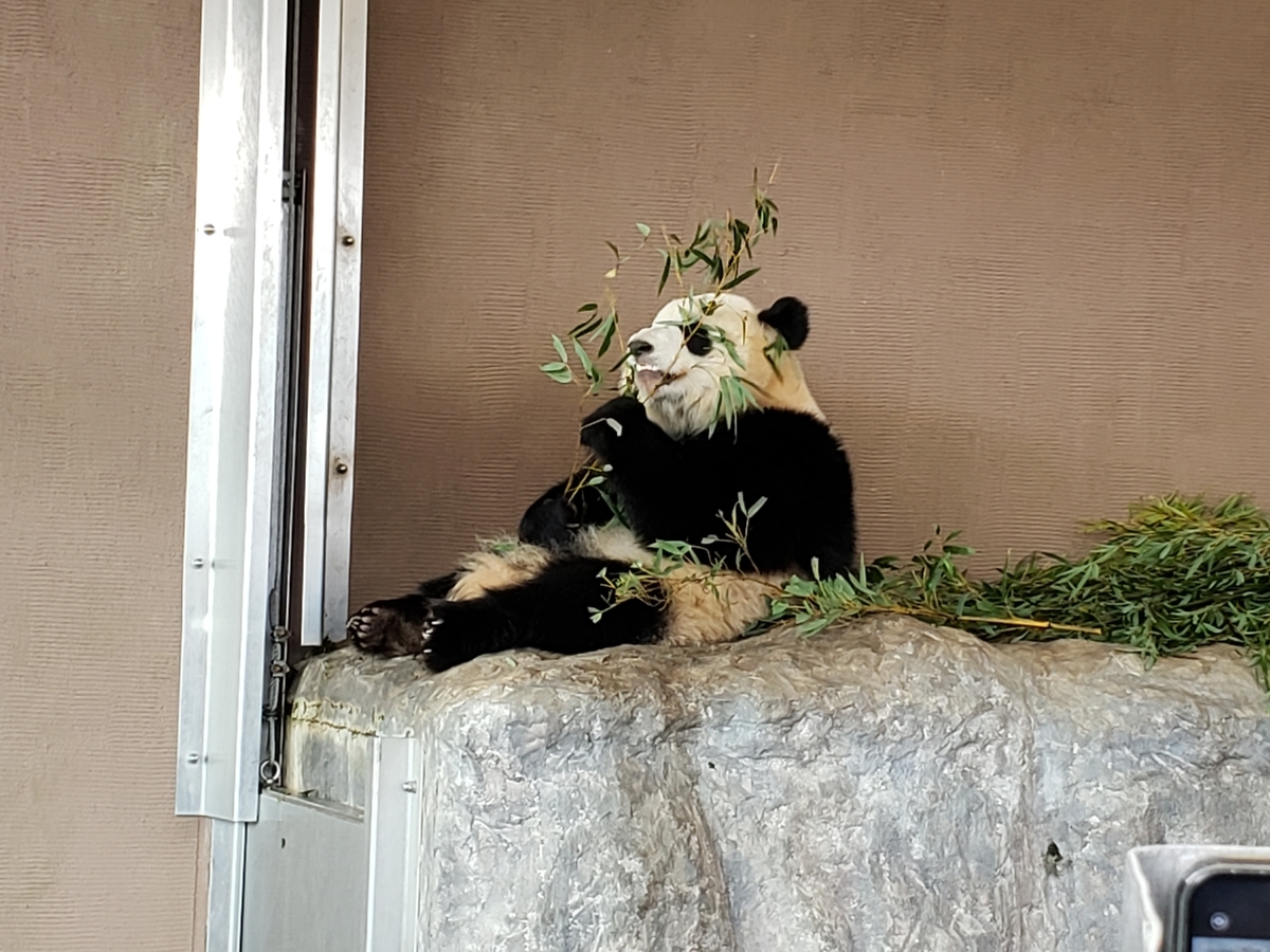 f:id:kulipa:20191225215548j:plain