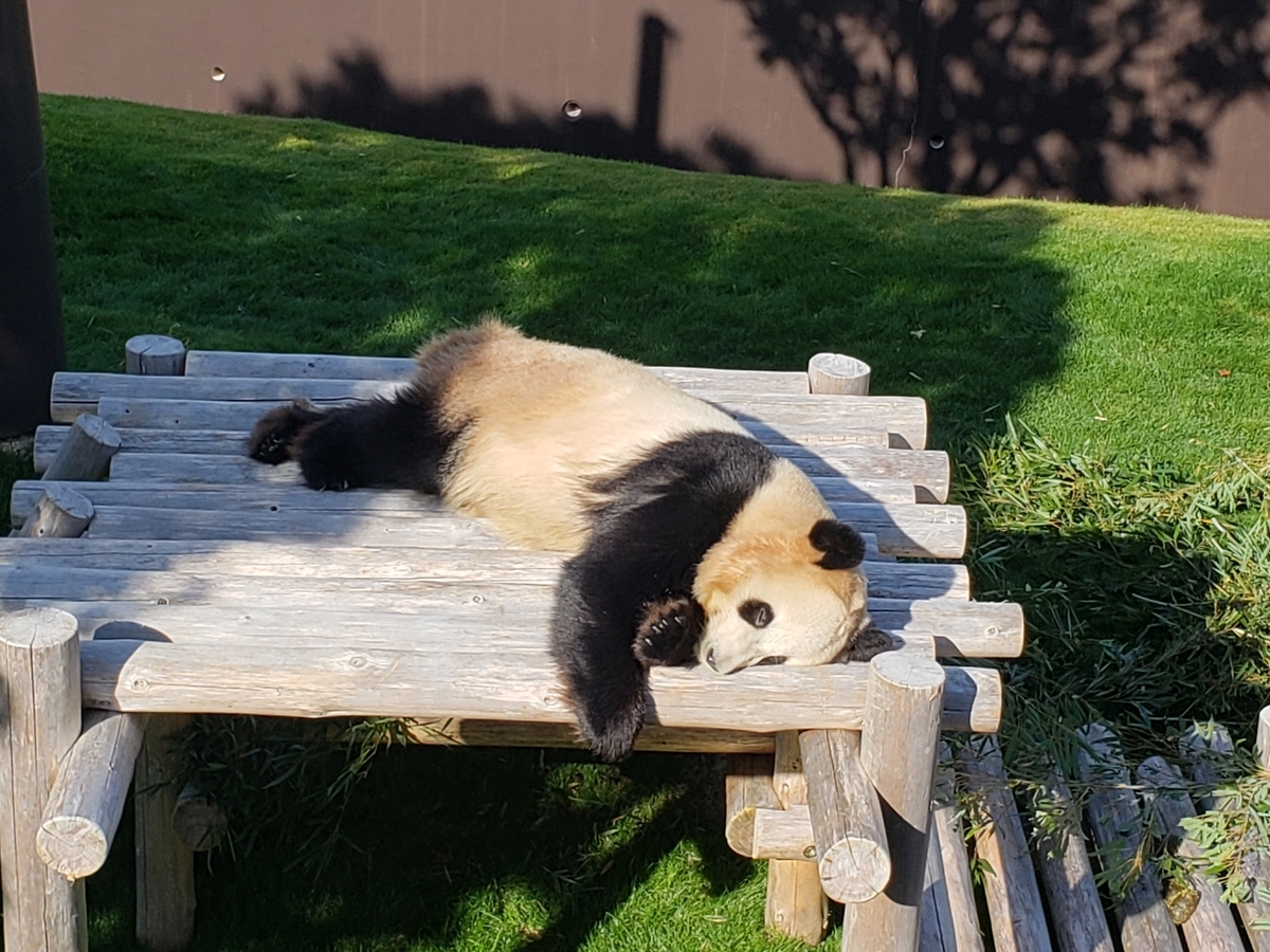 f:id:kulipa:20191225215651j:plain