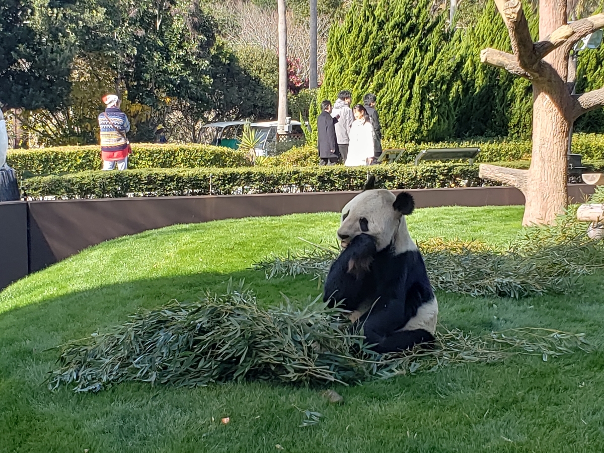 f:id:kulipa:20191225215728j:plain