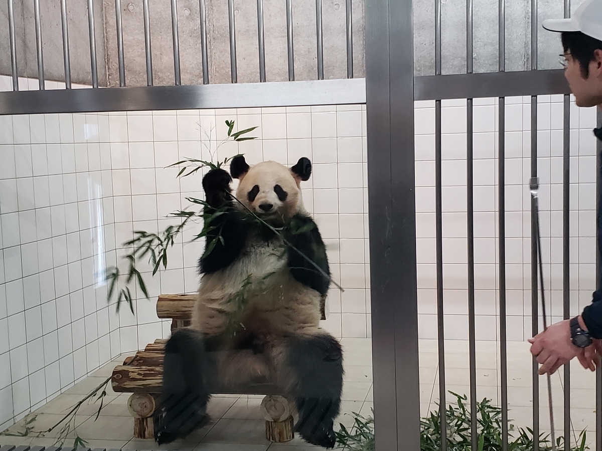 f:id:kulipa:20191226170024j:plain