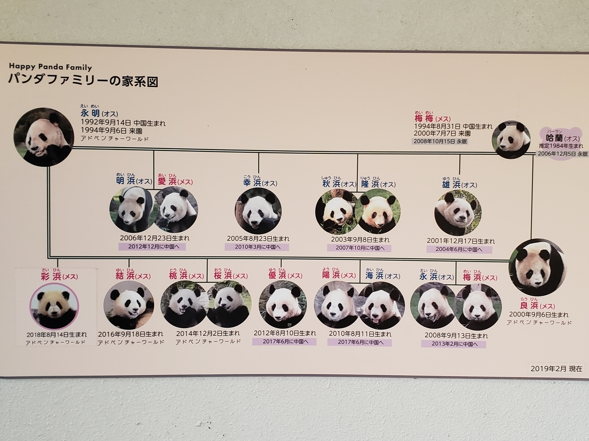 f:id:kulipa:20191226170147j:plain