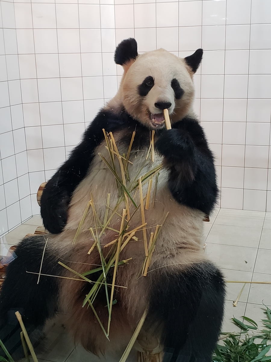 f:id:kulipa:20191226170807j:plain