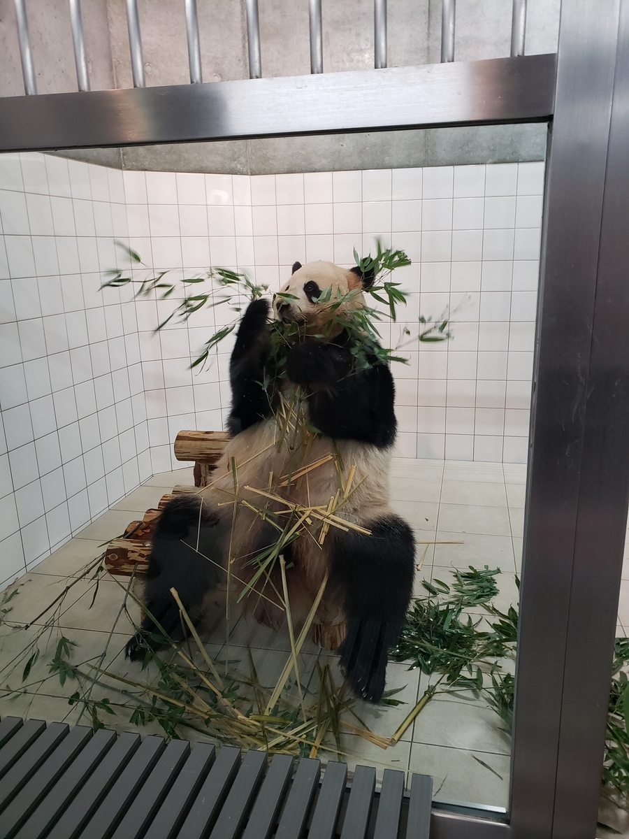 f:id:kulipa:20191226170848j:plain