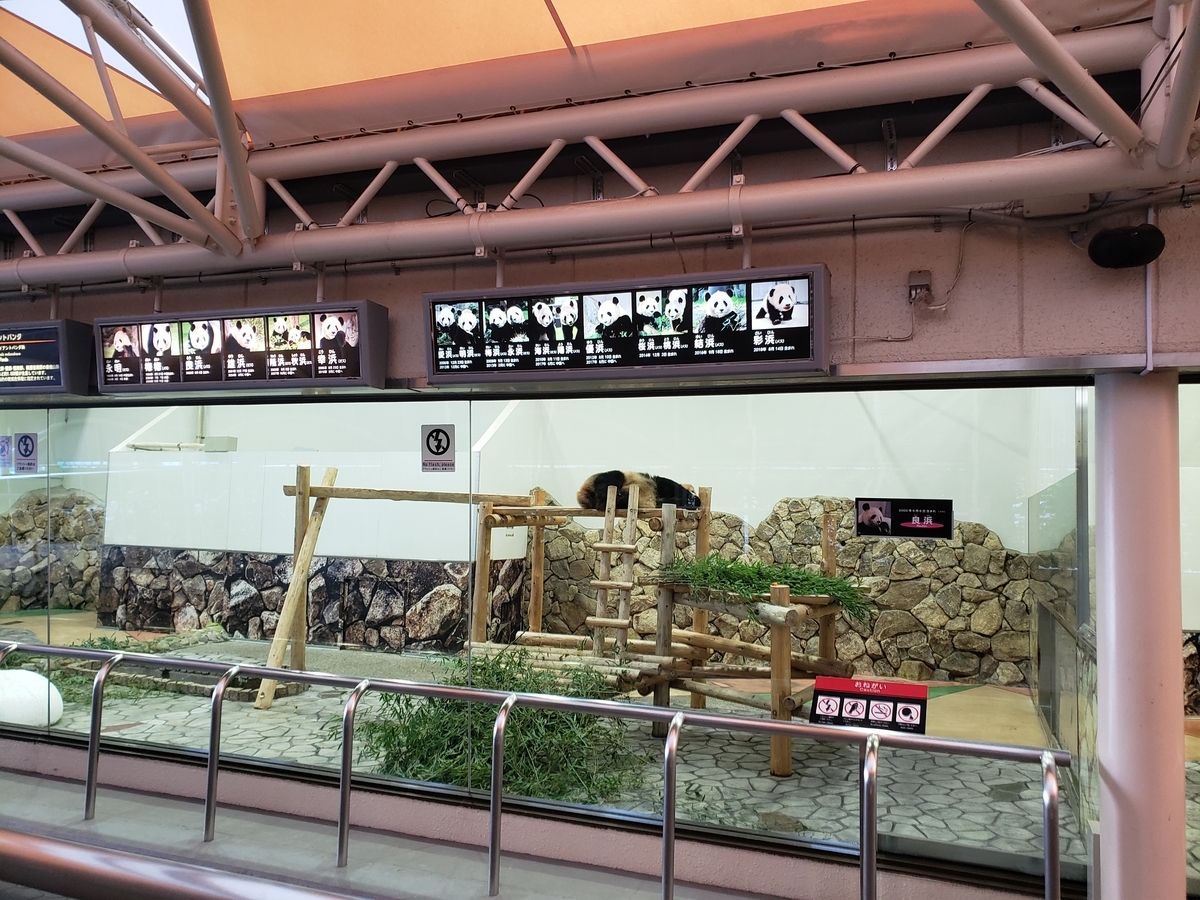 f:id:kulipa:20191226175019j:plain