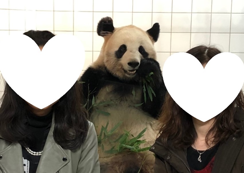 f:id:kulipa:20191226181655j:plain