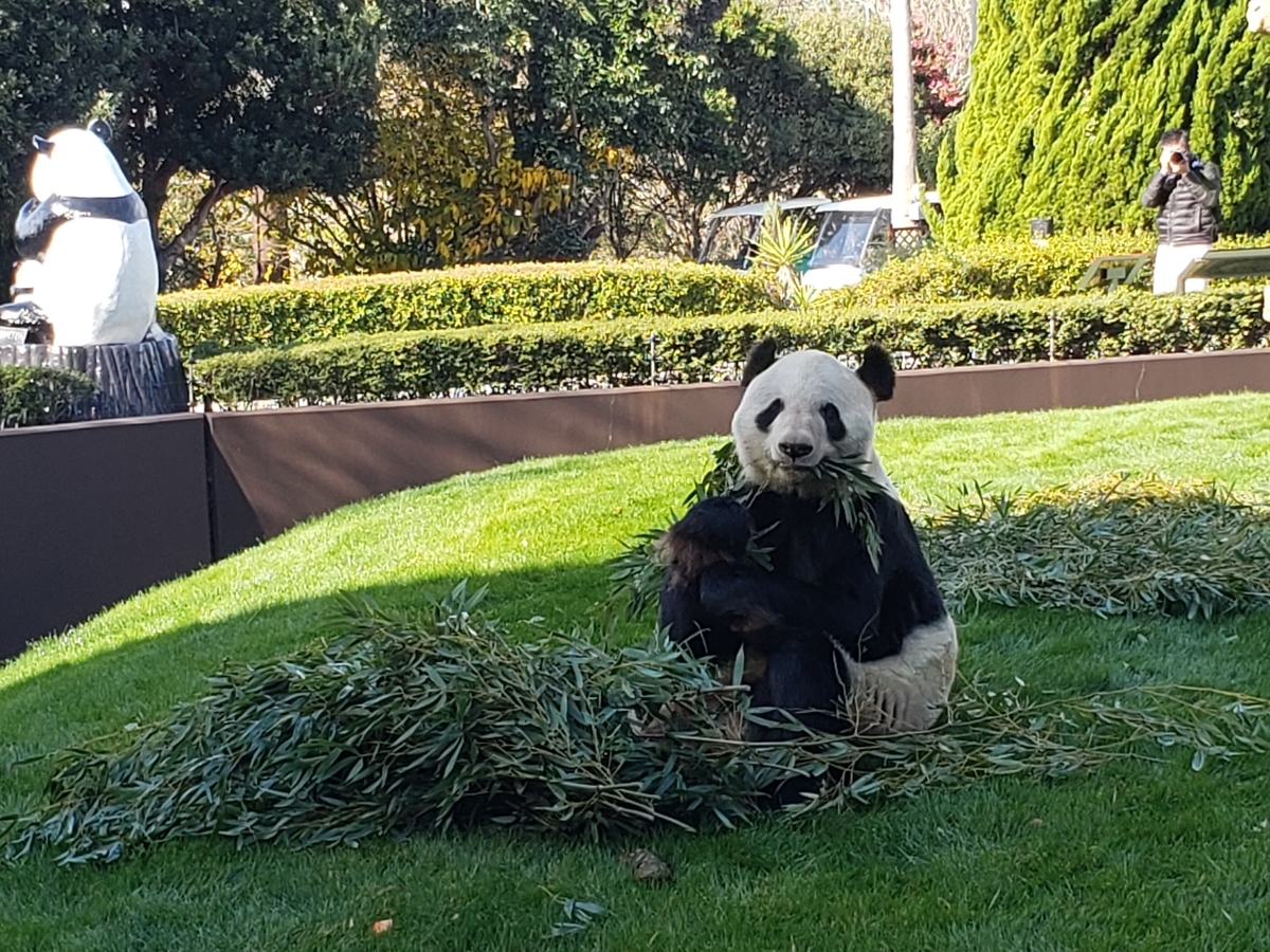 f:id:kulipa:20191226182127j:plain