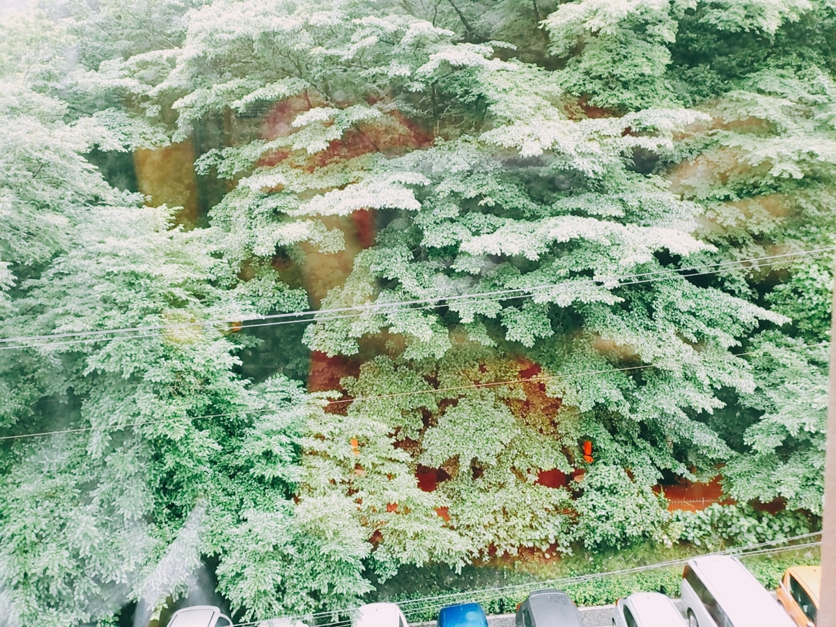 f:id:kulipa:20200718164433j:plain