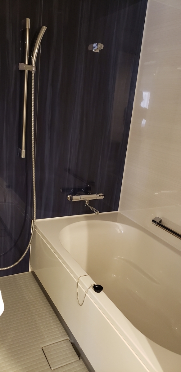 f:id:kulipa:20210320205850j:plain