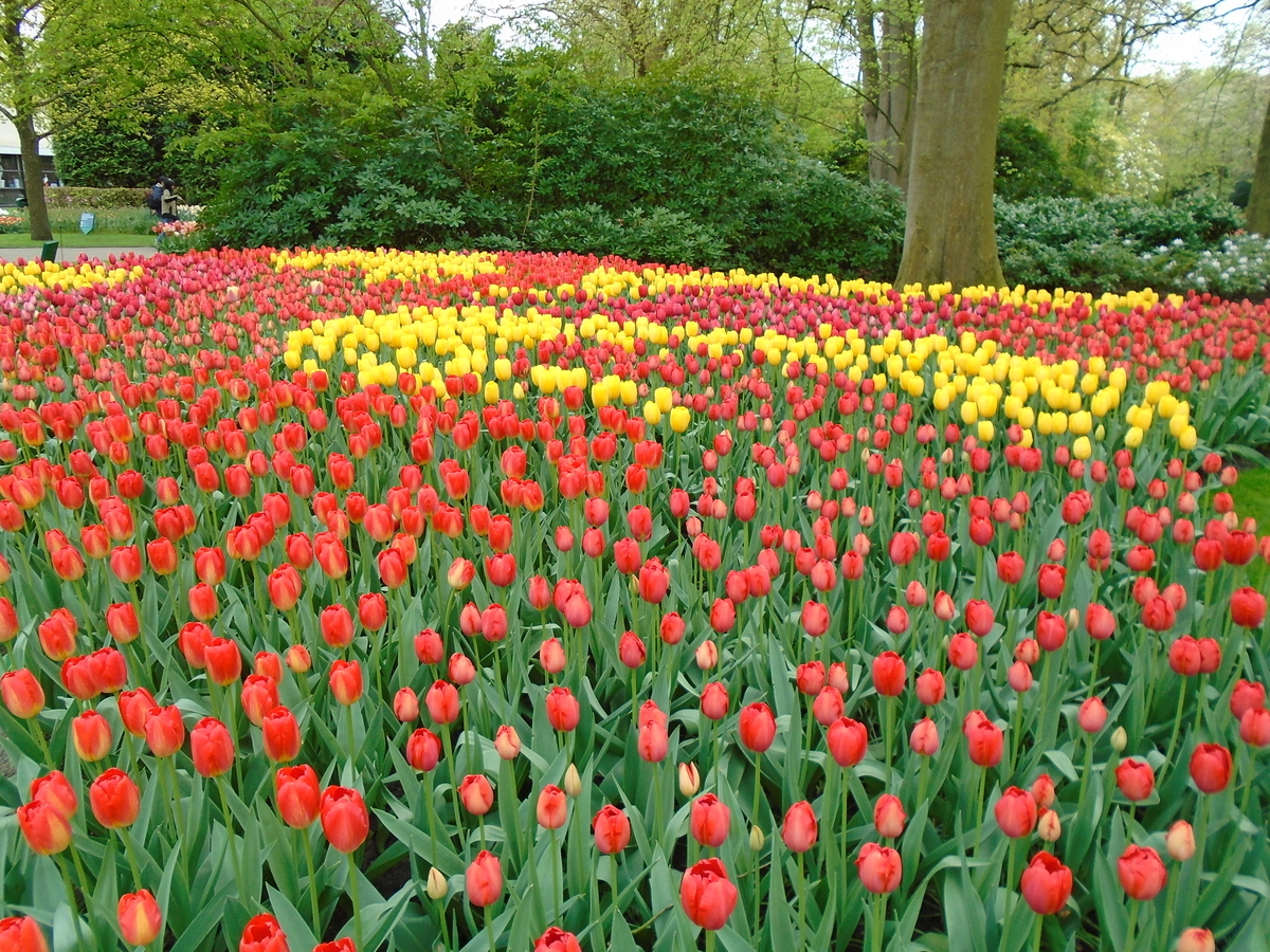 f:id:kulipa:20210811103051j:plain