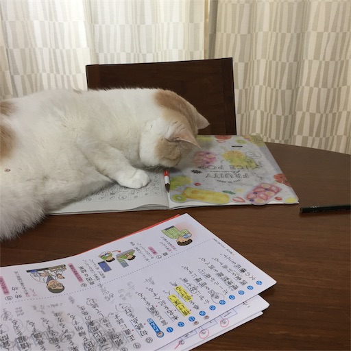 f:id:kulokikokoro:20200721124443j:image