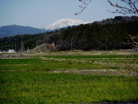f:id:kuma-bc:20100322090033j:image