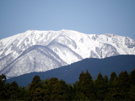 f:id:kuma-bc:20100322090413j:image
