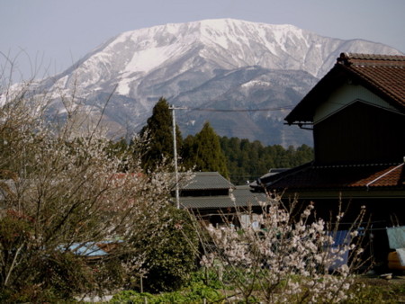 f:id:kuma-bc:20100322093052j:image