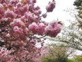 20130415212423