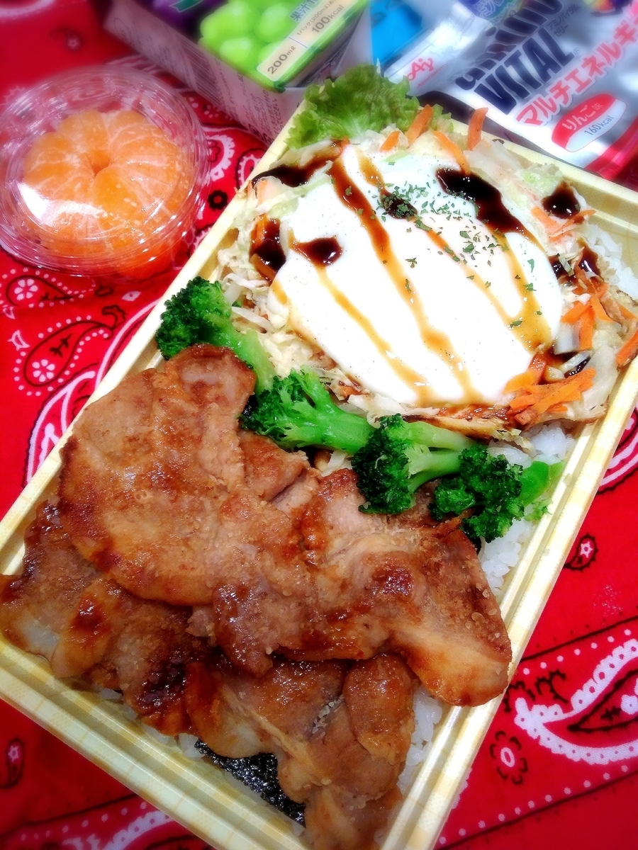 f:id:kuma-maro0720:20200119144304j:plain