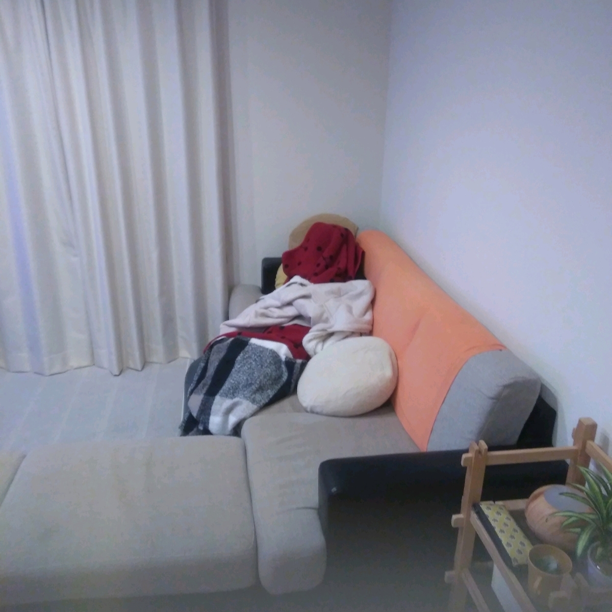 f:id:kuma-maro0720:20200223234000j:plain f:id:kuma-maro0720:20200223234000j:plain