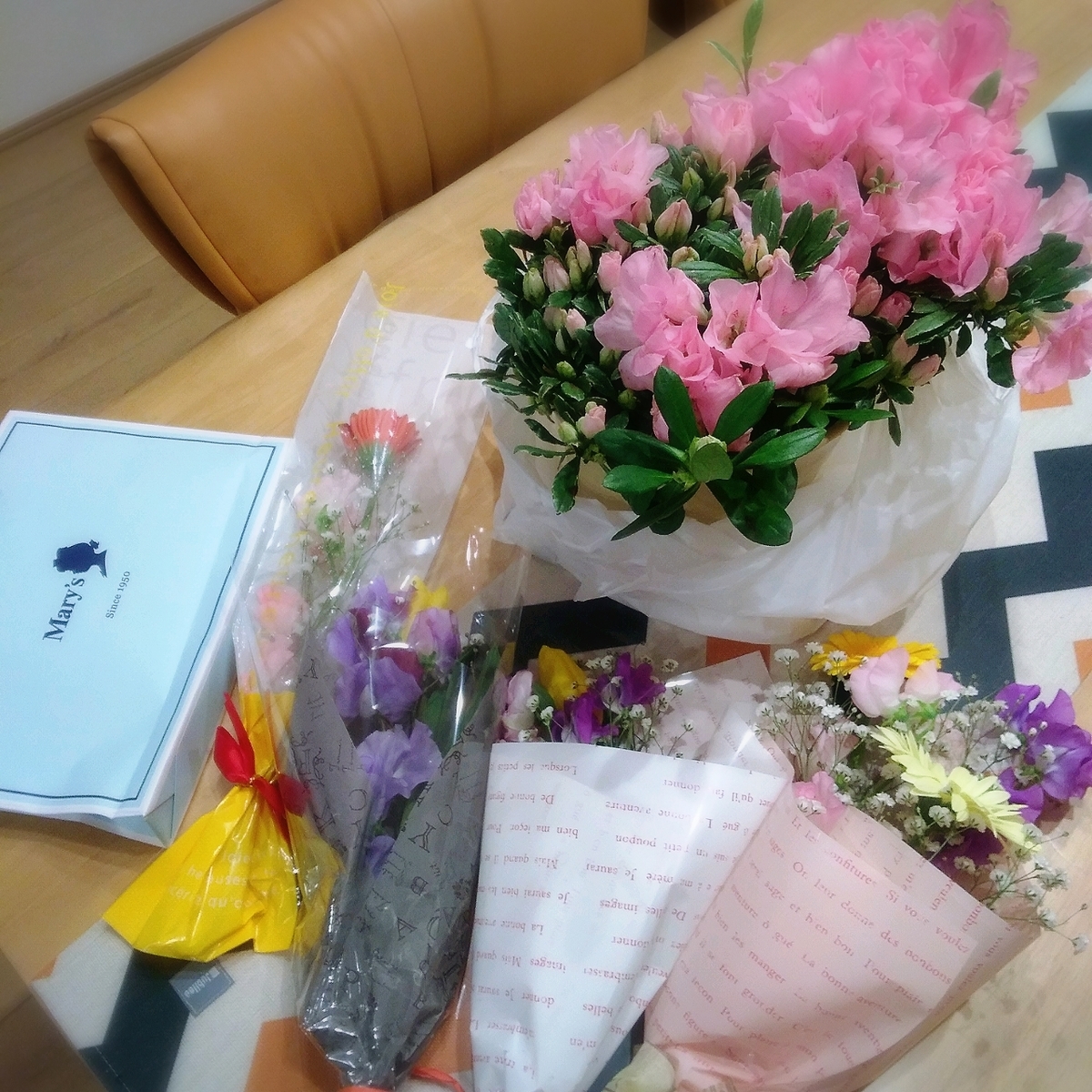 f:id:kuma-maro0720:20200307174054j:plain f:id:kuma-maro0720:20200307174054j:plain