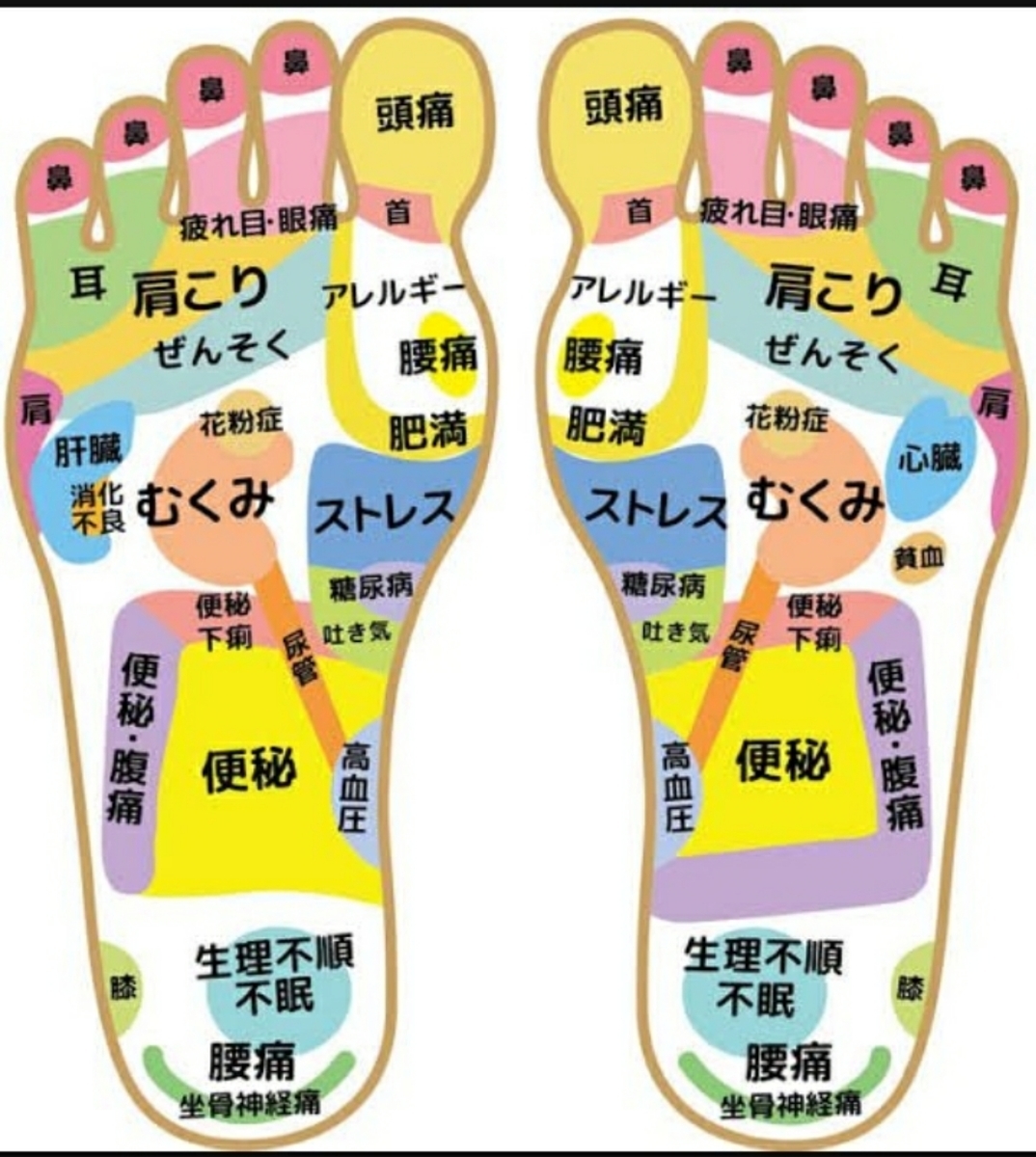 f:id:kuma-maro0720:20200404075957j:plain f:id:kuma-maro0720:20200404075957j:plain