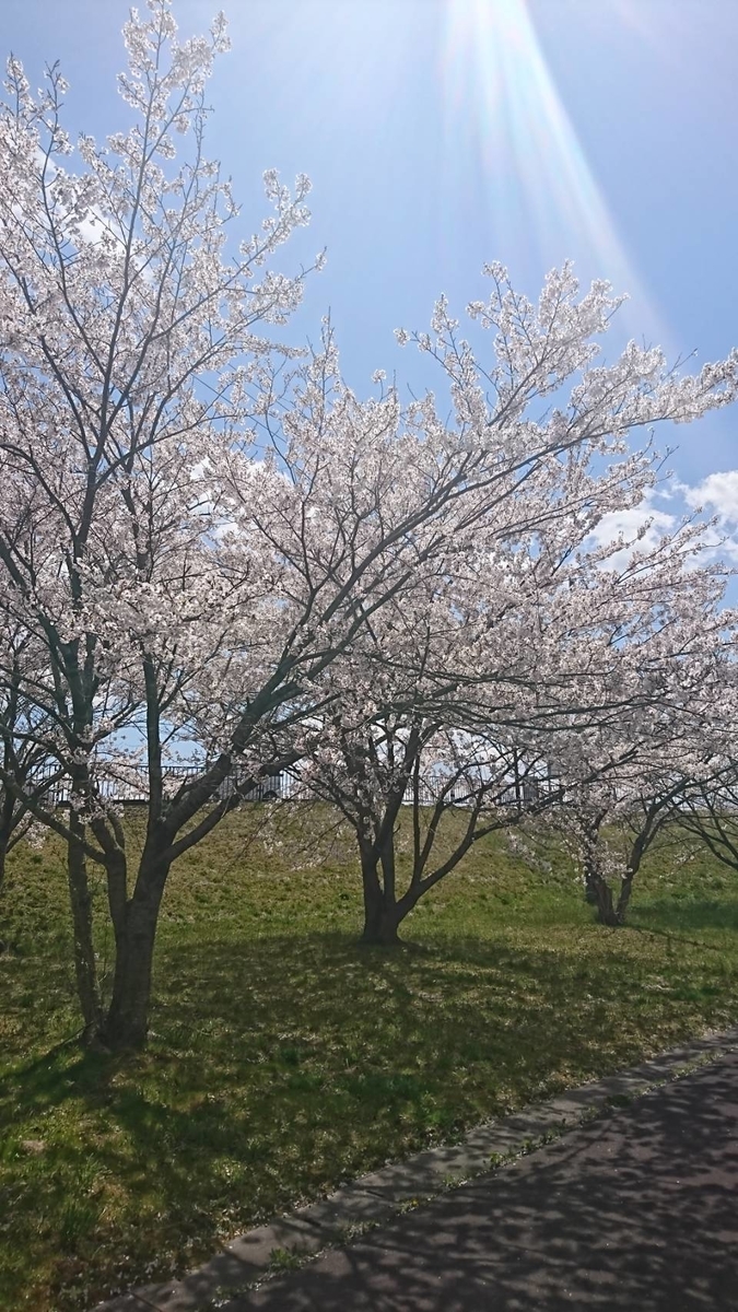 f:id:kuma-maro0720:20200415003836j:plain f:id:kuma-maro0720:20200415003836j:plain