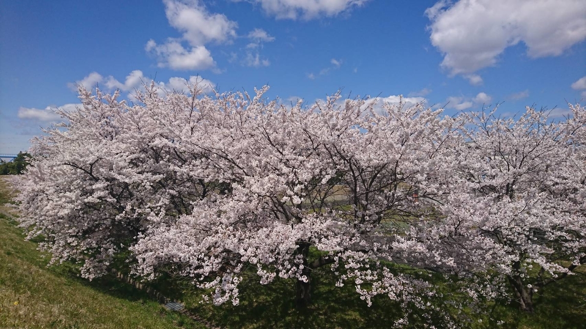 f:id:kuma-maro0720:20200415004831j:plain f:id:kuma-maro0720:20200415004831j:plain