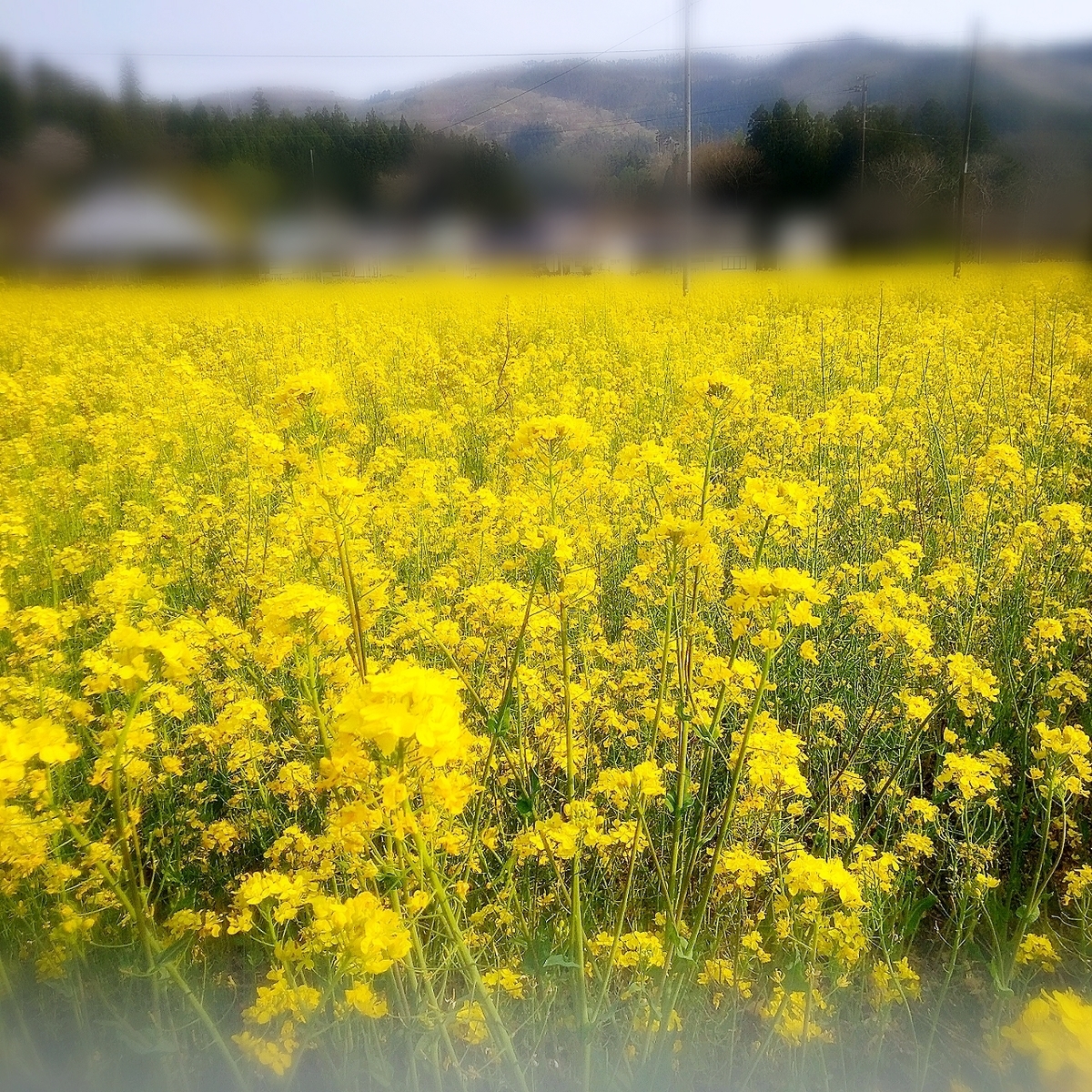f:id:kuma-maro0720:20200503013705j:plain f:id:kuma-maro0720:20200503013705j:plain