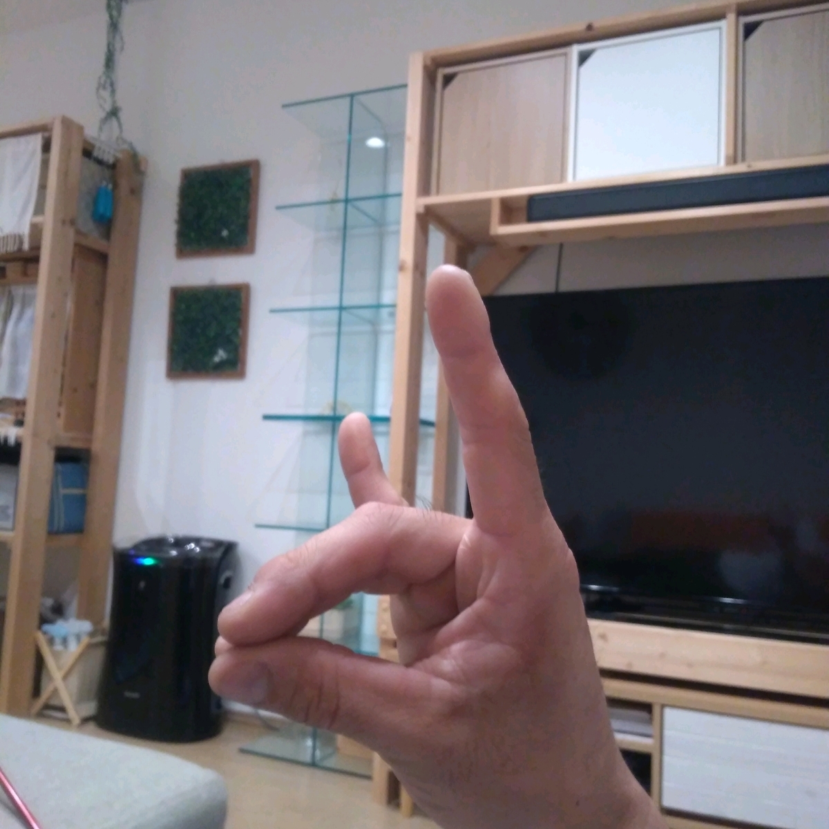 f:id:kuma-maro0720:20200505120025j:plain f:id:kuma-maro0720:20200505120025j:plain