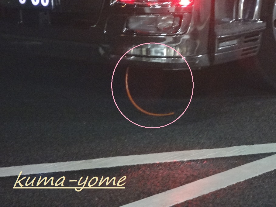 f:id:kuma-yome:20190519002336j:plain f:id:kuma-yome:20190519002336j:plain