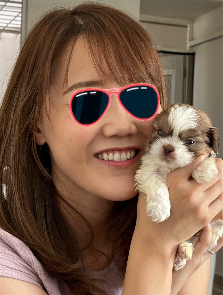 f:id:kuma0112:20260110145200j:image