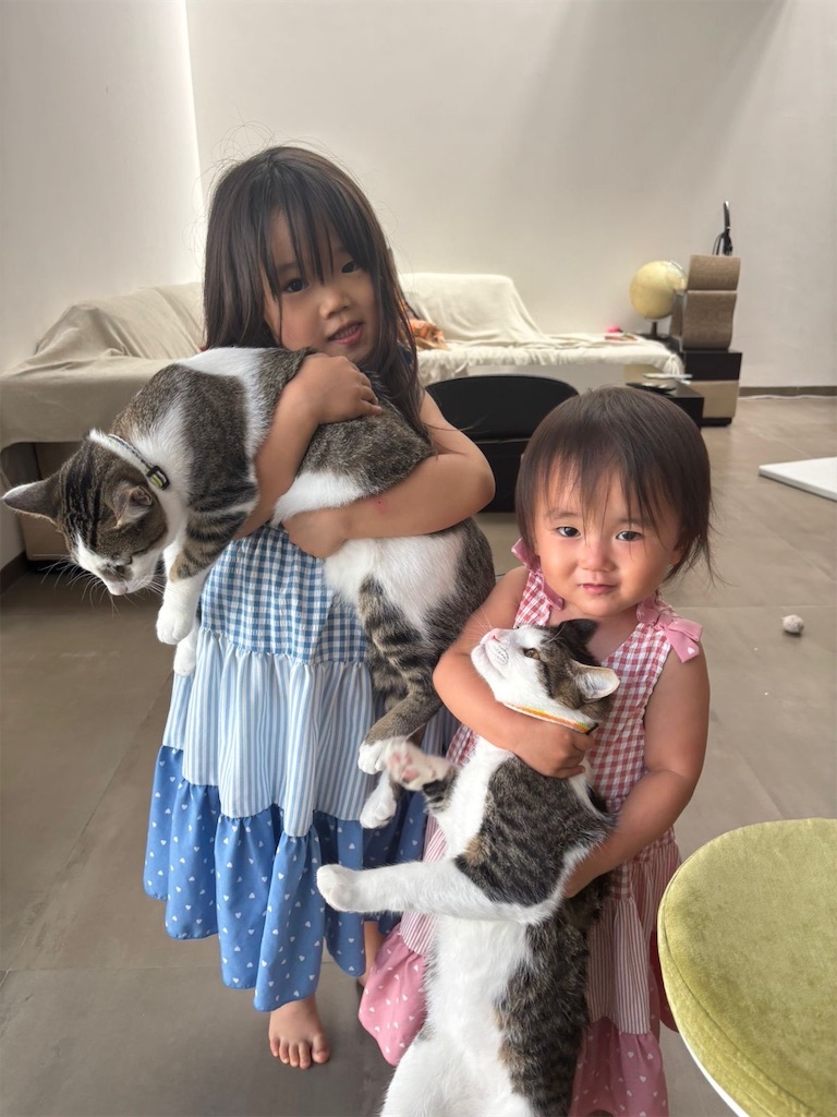 f:id:kuma0112:20260110145311j:image