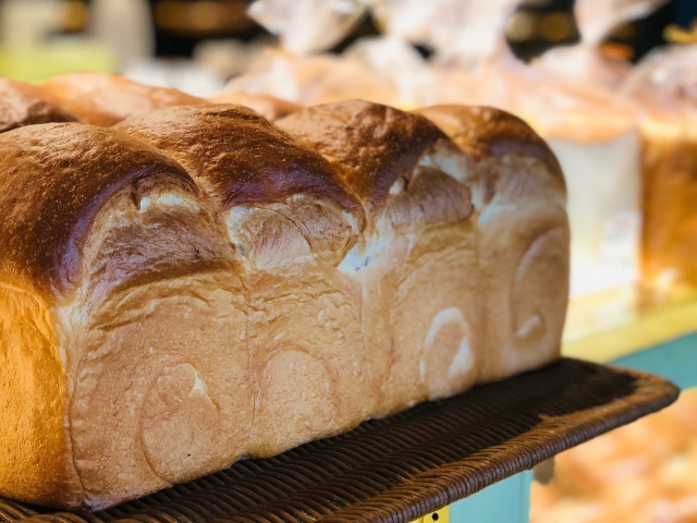 f:id:kuma110:20190403193118j:plain f:id:kuma110:20190403193118j:plain