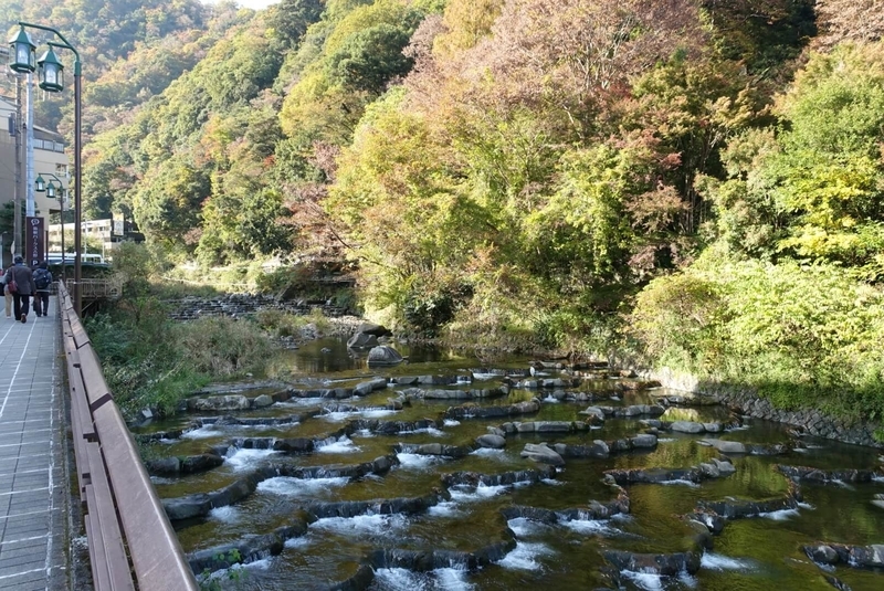 f:id:kuma110:20190719192251j:plain f:id:kuma110:20190719192251j:plain