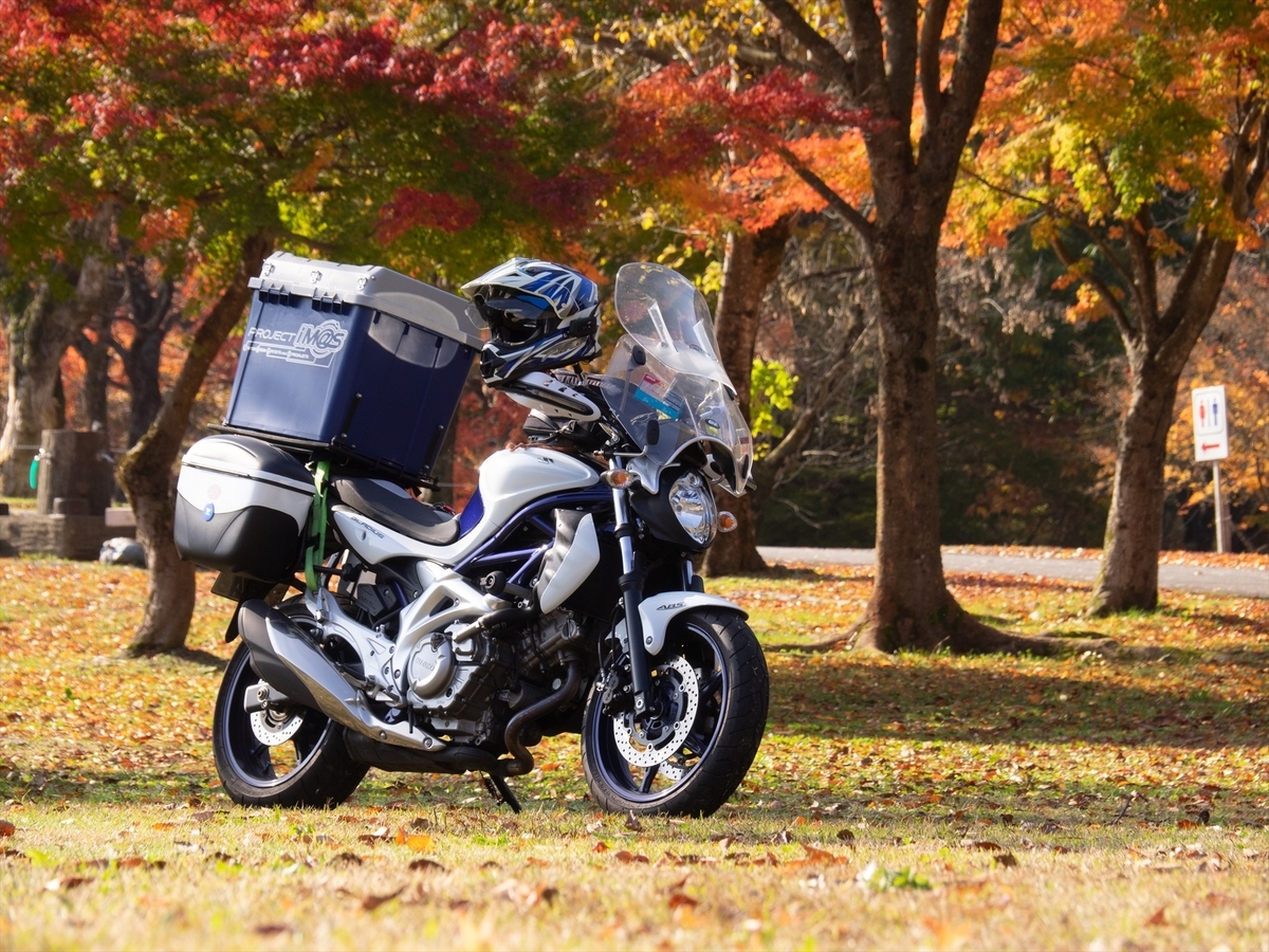 f:id:kuma2vanilla:20191103111631j:plain f:id:kuma2vanilla:20191103111631j:plain